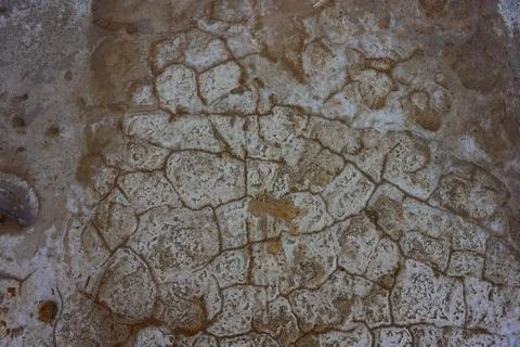 Cracked Soil Foto stock