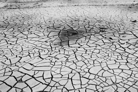 Cracked soil in river Stock Photos