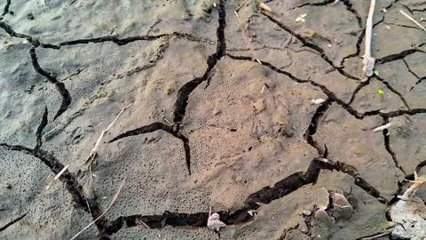 Cracked soil structure due to drought.Closeup crack soil texture Stock Photos