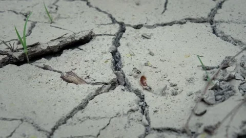 Cracked Soil Texture in Heatwave Stock Footage 337878315