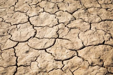 Cracked soil texture Stock Photos