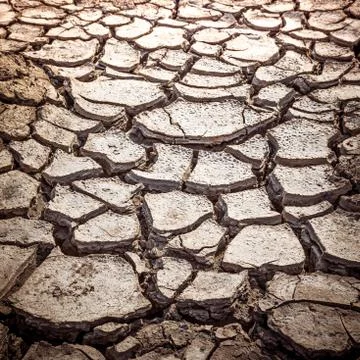 Cracked soil texture Stock Photos