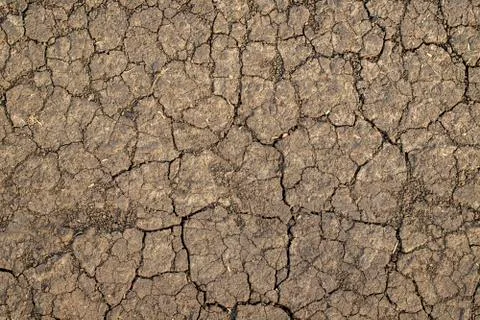 Cracked soil texture Stock Photos