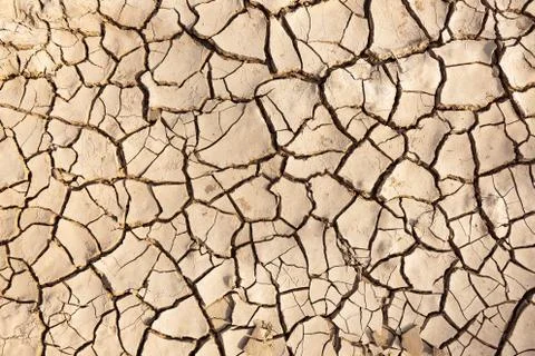 Cracked soil texture Stock Photos