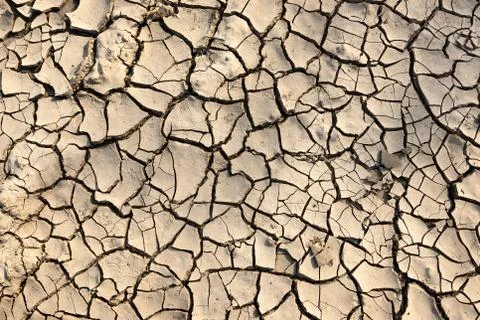 Cracked soil texture Stock Photos