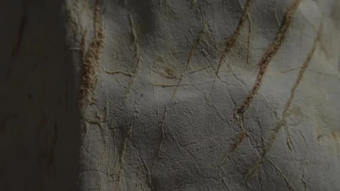 Cracked stone surface with fine natural lines. Stock Footage 289844775