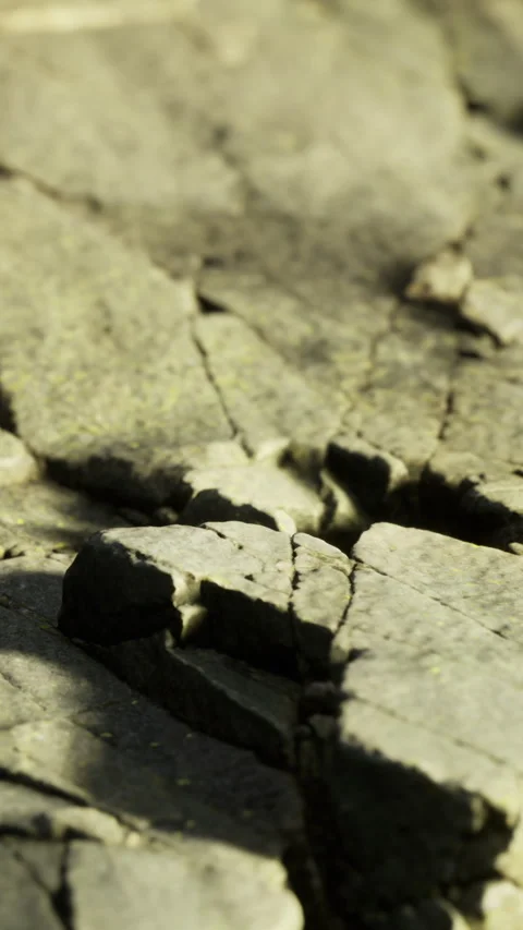 Cracked stone surface showing detailed texture in natural light during day Stock Footage 335965668