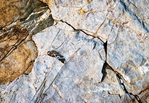 Cracked structure on limestone rock Stock Photos