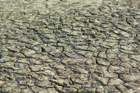 Cracked surface. a dried river bed Stock Photos