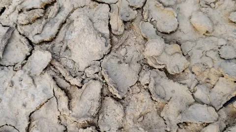 Cracked surface of the ground indicating environmental drought Stock Footage 305258931