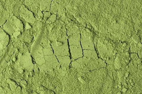 Cracked surface of matcha powder creates a rugged, organic background ideal f 스톡 사진