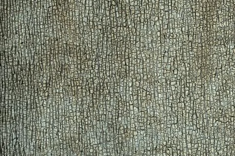 Cracked surface, old and rough closeup Ruberoid Stock Photos