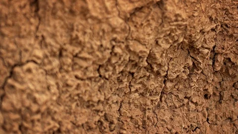 Cracked Surface of Parched Soil. 1080p FullHD footage Stock Footage 74986580