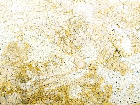 Cracked surface. Stock Photos