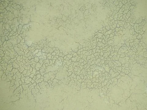 Cracked surface texture Illustrazione stock