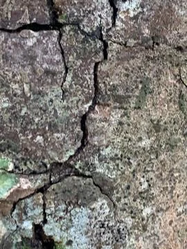 Cracked Surface Texture Stock Photos