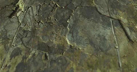 Cracked surface texture revealing layers of wear and age in natural material 스톡 일러스트