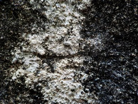 Cracked texture rough wall Cement white gray wall background, suitable for di Stock Photos
