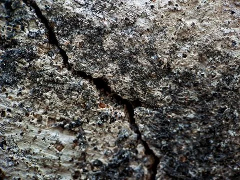 Cracked texture rough wall Cement white gray wall background, suitable for di Stock Photos