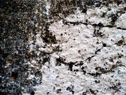 Cracked texture rough wall Cement white gray wall background, suitable for di Stock Photos