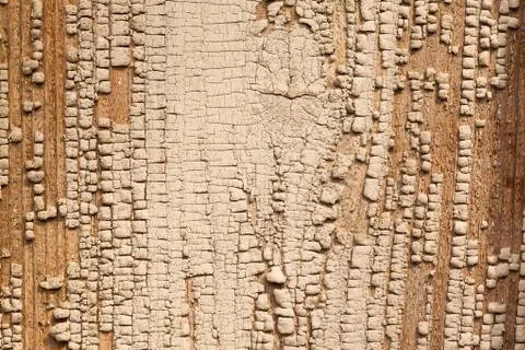 Cracked varnish background Stock Photos