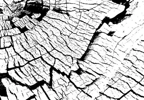 Cracked vintage tree stump surface showing natural texture and annual wood rings Stock Illustration