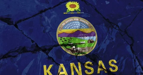 A cracked wall with The kansas state flag of the United States of America 스톡 동영상 337429330