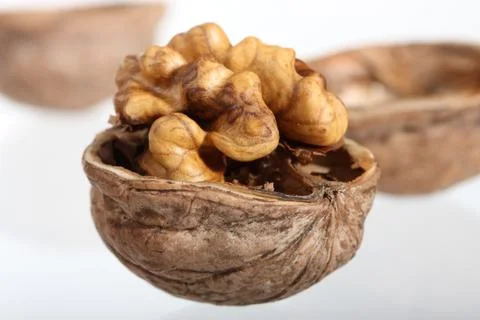 Cracked walnut on neutral background Stock Photos