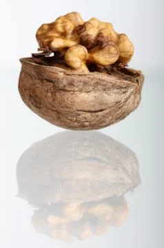 Cracked walnut with reflection Stock Photos