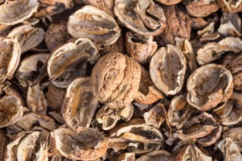 Cracked walnut shells with one complete walnut in the middle. Pieces of Stock Photos