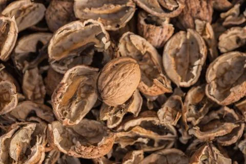 Cracked walnut shells with one complete walnut in the middle. Pieces of Stock Photos