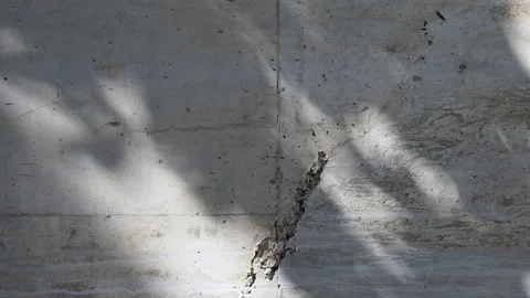 Cracked weathered concrete wall texture with stains and rough damaged surface. Stock Footage 330149785
