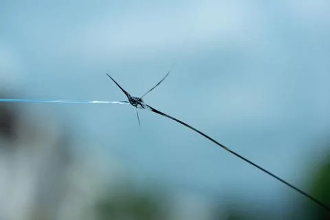 Cracked windshield from the stone thrown. Stock Photos