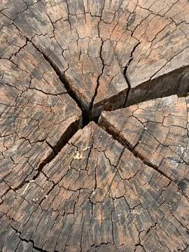 Cracked wood texture Stock Photos