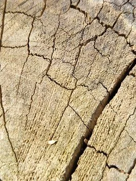 Cracked Wood Texture Stock Photos