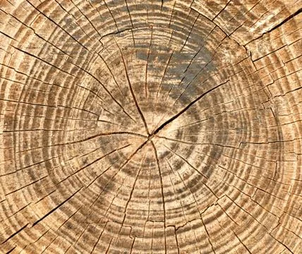 Cracked wooden background Фото