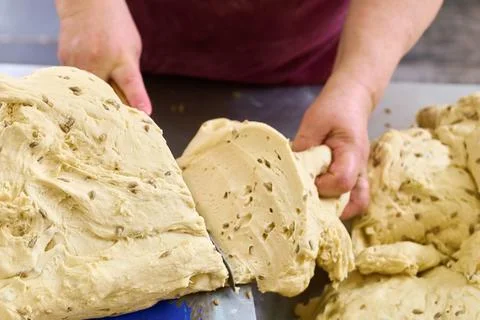 Cracker dough preparation process in a bakery showcasing hands working with the Stock Photos