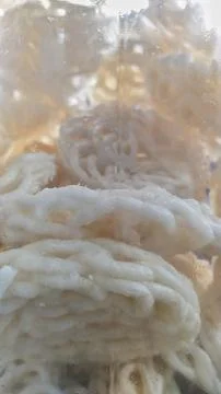 Crackers in a jar Stock Photos