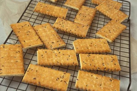 Crackers with seeds on the grill Stock Photos
