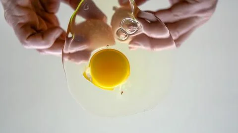 Cracking chicken egg on transparent surface. Stock Photos
