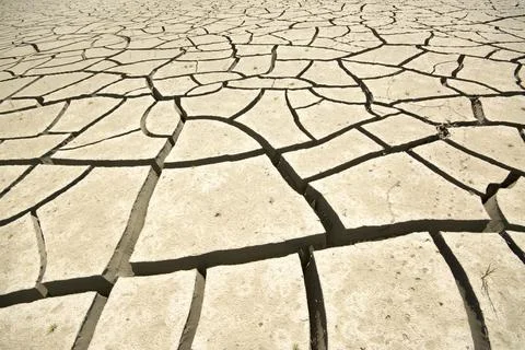 Cracking dry earth close up. Stock Photos
