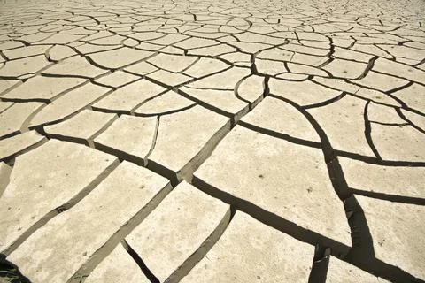 Cracking dry earth close up. Stock Photos