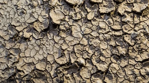 Cracking earth mud macro drying from wet soil timelapse drought Stock Footage 102725365