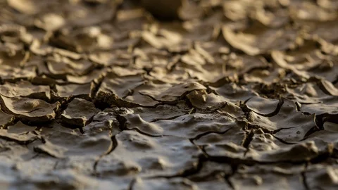 Cracking earth mud macro drying from wet soil timelapse drought Stock Footage 102766434