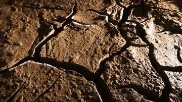 Cracking mud drying from wet earth timelapse drought Stock Footage 85912035