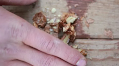 Cracking nuts 1 Stock Footage 12667991