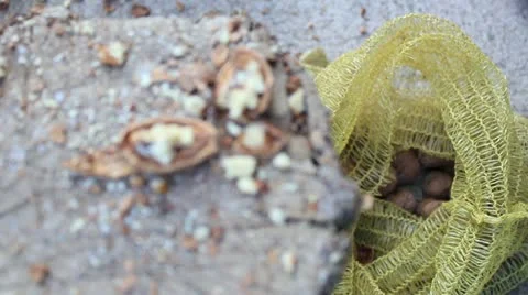 Cracking nuts 4 Video stock 12673132