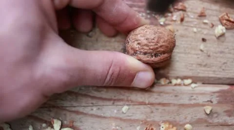 Cracking nuts Stock Footage 12664503
