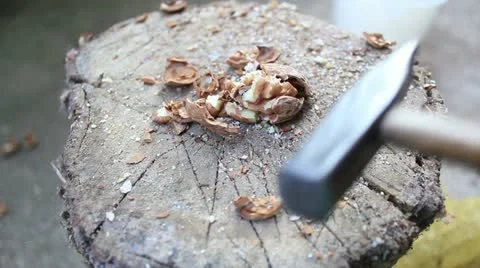Cracking nuts log 2 Video stock 12654865