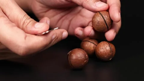 Cracking Open Macadamia Nuts Stock Footage 303954589